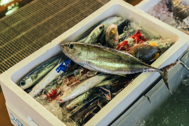 魚料理