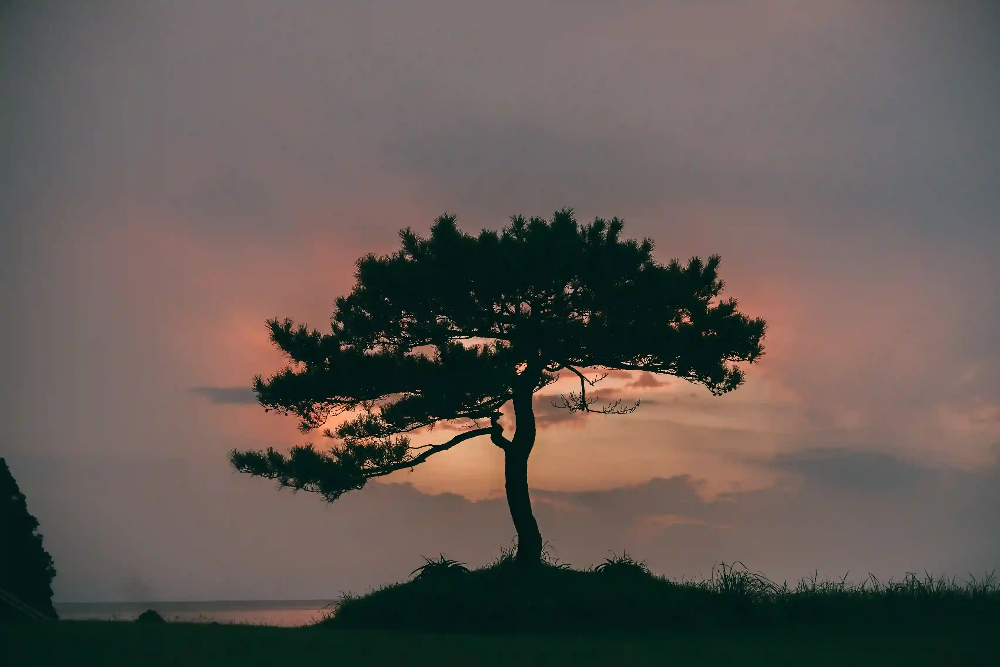 Goto Islands scenery
